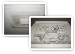 トイレの換気扇