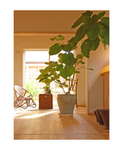 お部屋全体パック